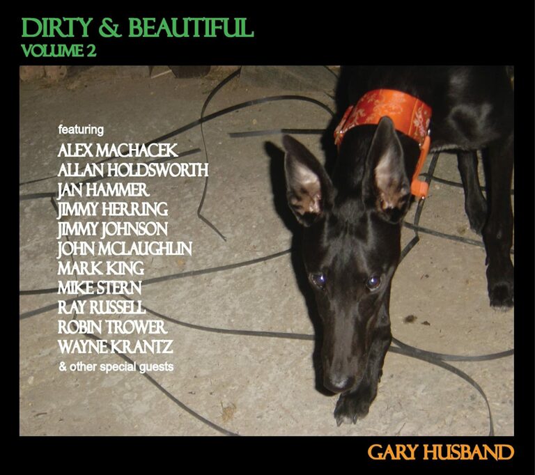 Gary Husband Dirty and Beautiful Vol 2